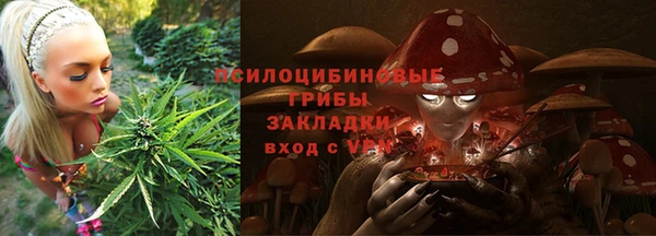 дмт Алексин