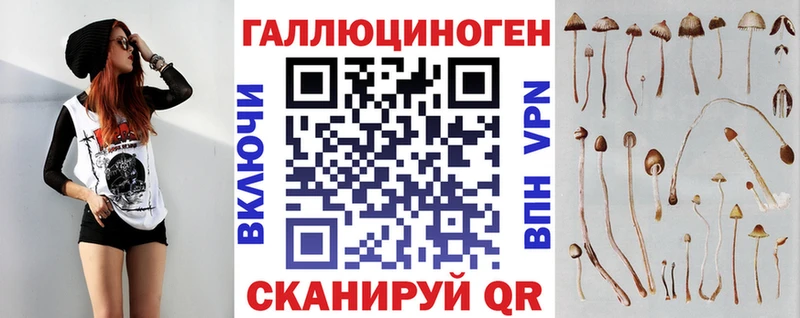 Псилоцибиновые грибы GOLDEN TEACHER  Нытва 